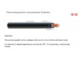 UL83 Thermoplastic insulated wires and cables